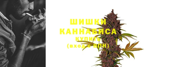 спайс Богородицк