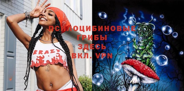 спайс Богородицк