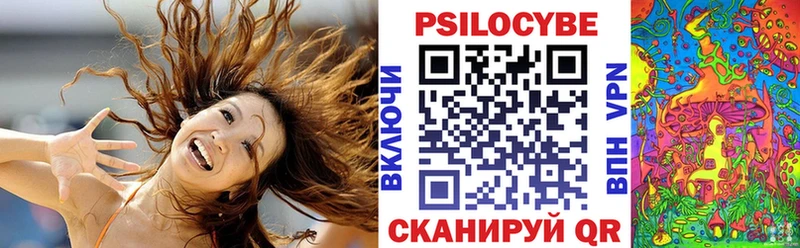 Галлюциногенные грибы Psilocybe  наркота  Буй 
